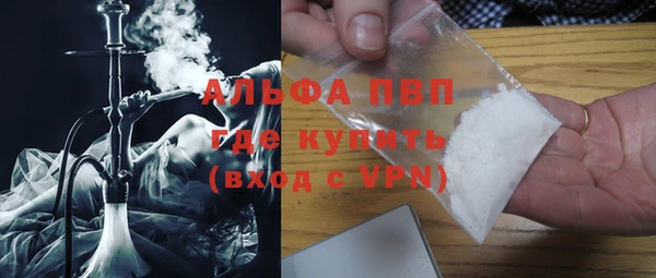 стафф Иннополис