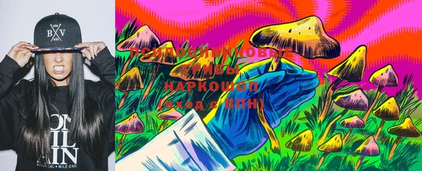 МДПВ Инта