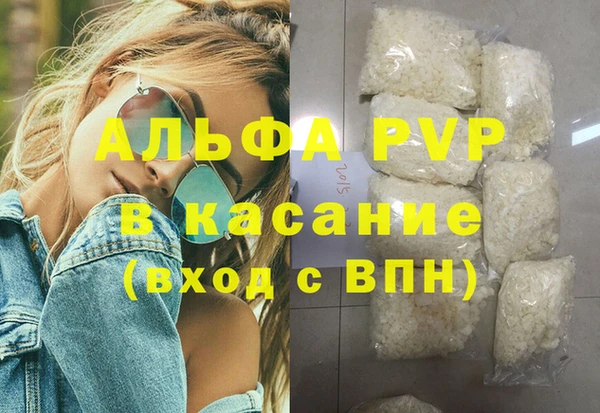 стафф Иннополис