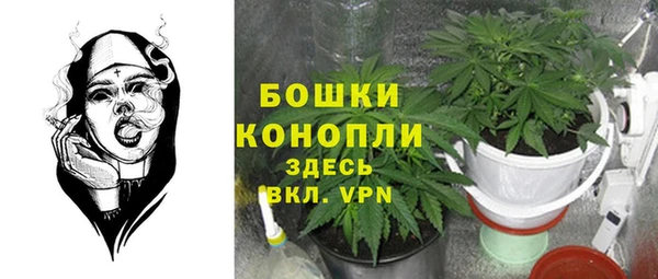 стафф Иннополис