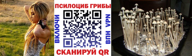 Псилоцибиновые грибы Magic Shrooms  Купить  Сертолово 